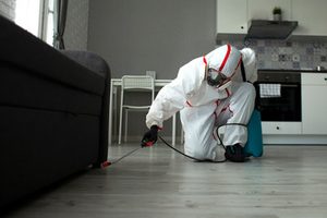 rodent pest control